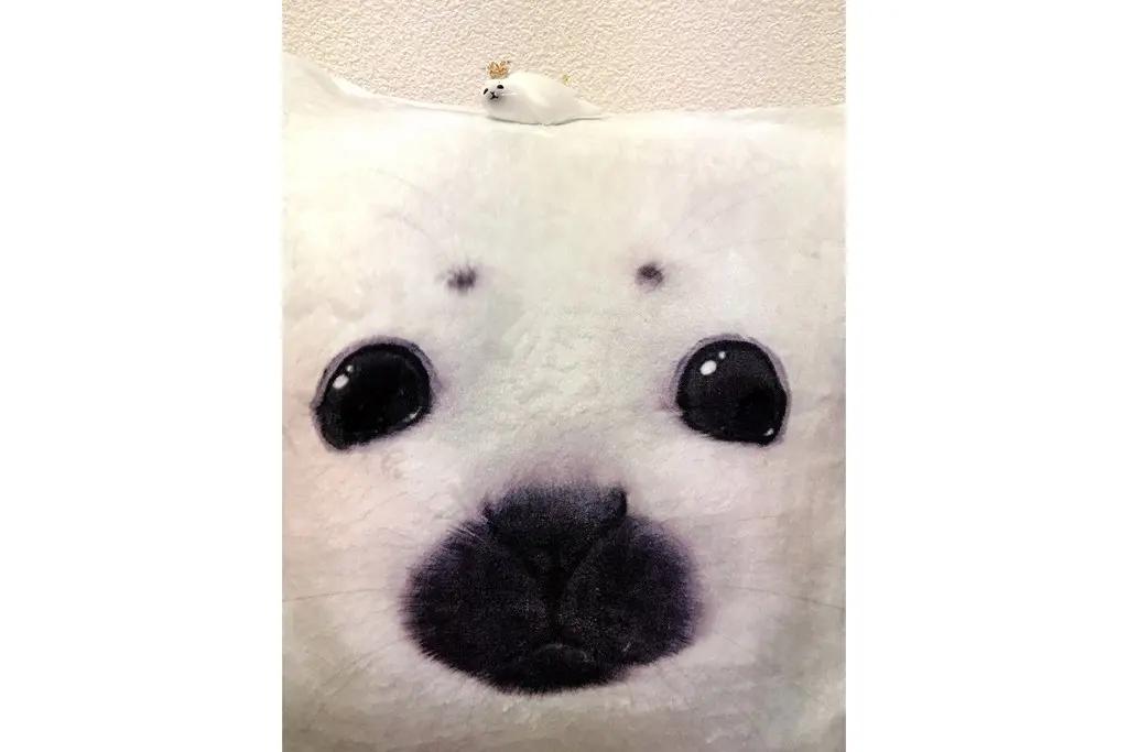 もふもふクッションカバーの評価 Phoca様
